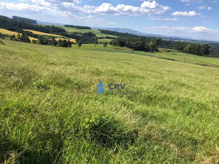 Foto 2 de Fazenda / Haras à venda, 1573000m2 em Centro, Ortigueira - PR