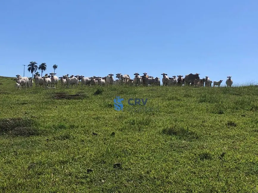 Foto 1 de Fazenda / Haras à venda, 1573000m2 em Centro, Ortigueira - PR