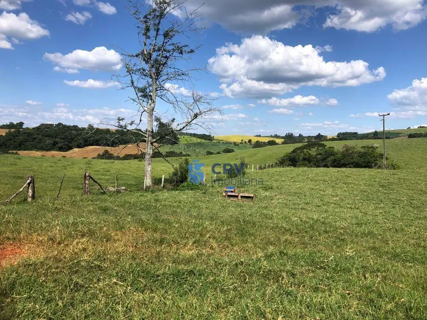 Foto 5 de Fazenda / Haras à venda, 1573000m2 em Centro, Ortigueira - PR