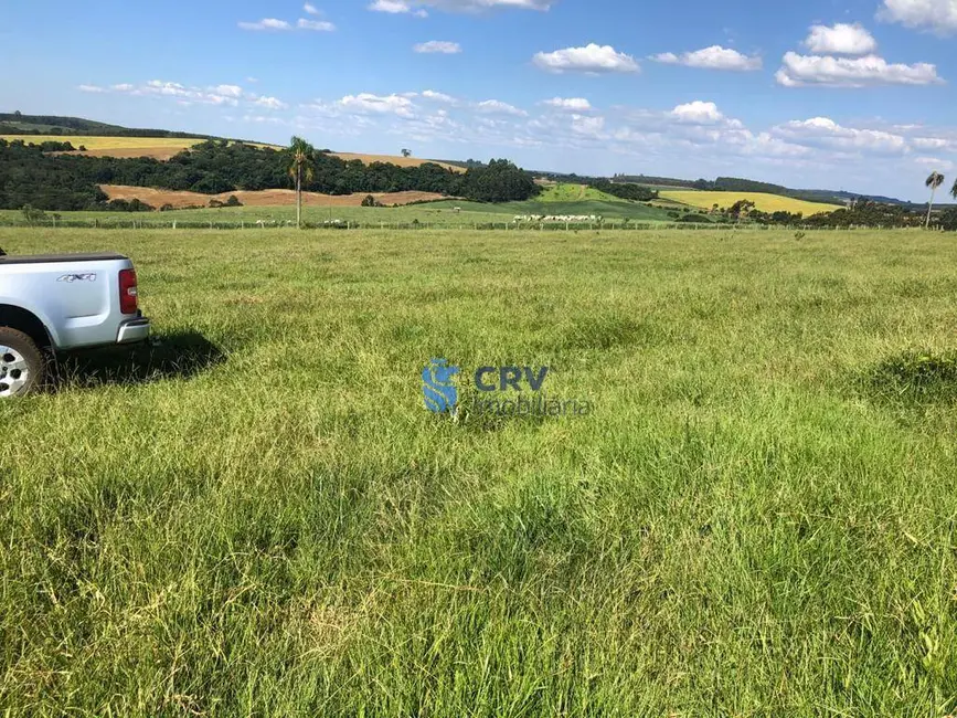 Foto 4 de Fazenda / Haras à venda, 1573000m2 em Centro, Ortigueira - PR