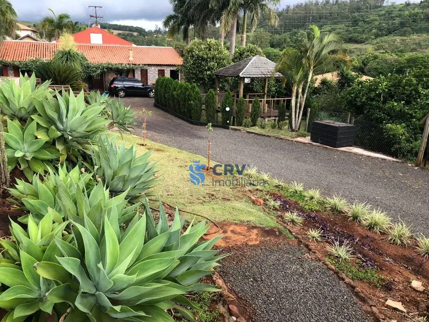 Chácara com 5 quartos à venda, 2726m2 em Londrina - PR - imagem 7 Foto 7 de Chácara com 5 quartos à venda, 2726m2 em Londrina - PR