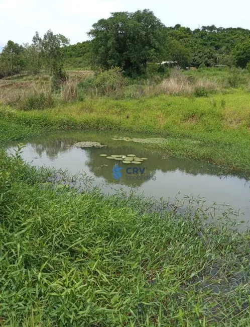 Chácara à venda, 22945m2 em Centro, Londrina - PR - imagem 6 Foto 6 de Chácara à venda, 22945m2 em Centro, Londrina - PR