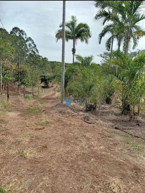 Chácara à venda, 22945m2 em Centro, Londrina - PR - imagem 4 Foto 4 de Chácara à venda, 22945m2 em Centro, Londrina - PR