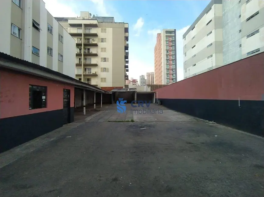 Foto 3 de Terreno / Lote para alugar, 429m2 em Kovalski, Londrina - PR