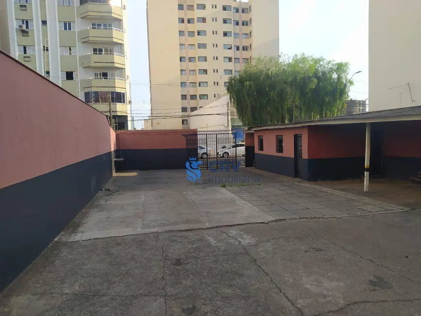 Foto 4 de Terreno / Lote para alugar, 429m2 em Kovalski, Londrina - PR