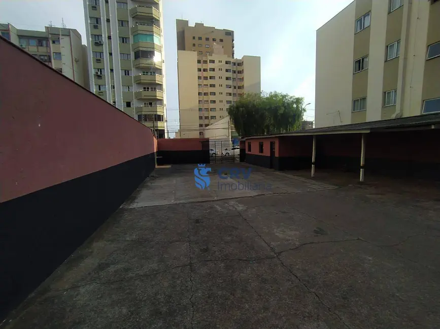 Foto 6 de Terreno / Lote para alugar, 429m2 em Kovalski, Londrina - PR