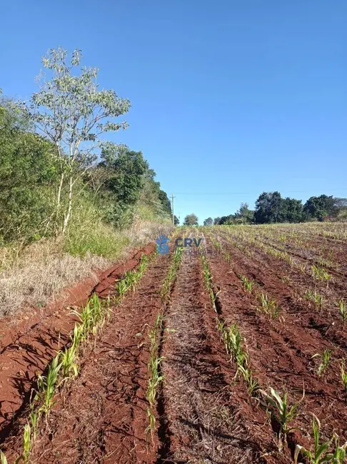 Terreno / Lote à venda, 24200m2 em Londrina - PR - imagem 7 Foto 7 de Terreno / Lote à venda, 24200m2 em Londrina - PR