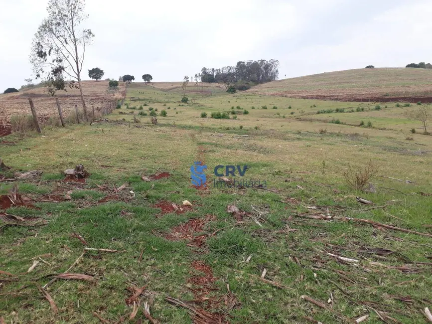 Foto 4 de Chácara com 3 quartos à venda, 72600m2 em Centro, Primeiro De Maio - PR