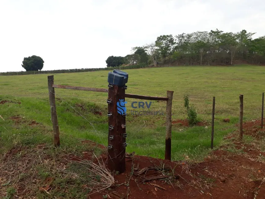 Foto 8 de Chácara com 3 quartos à venda, 72600m2 em Centro, Primeiro De Maio - PR