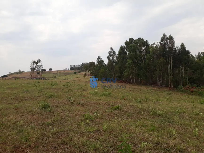 Foto 6 de Chácara com 3 quartos à venda, 72600m2 em Centro, Primeiro De Maio - PR