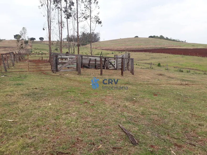 Foto 2 de Chácara com 3 quartos à venda, 72600m2 em Centro, Primeiro De Maio - PR