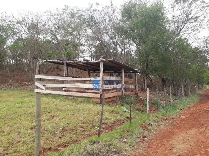 Foto 5 de Chácara com 3 quartos à venda, 72600m2 em Centro, Primeiro De Maio - PR