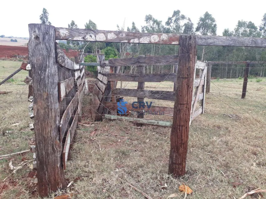 Foto 1 de Chácara com 3 quartos à venda, 72600m2 em Centro, Primeiro De Maio - PR