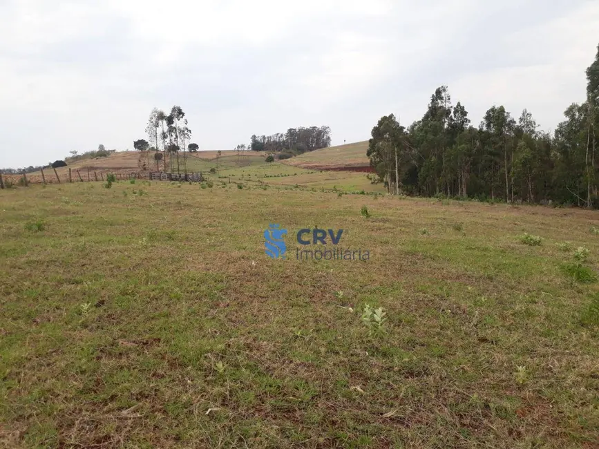 Foto 3 de Chácara com 3 quartos à venda, 72600m2 em Centro, Primeiro De Maio - PR