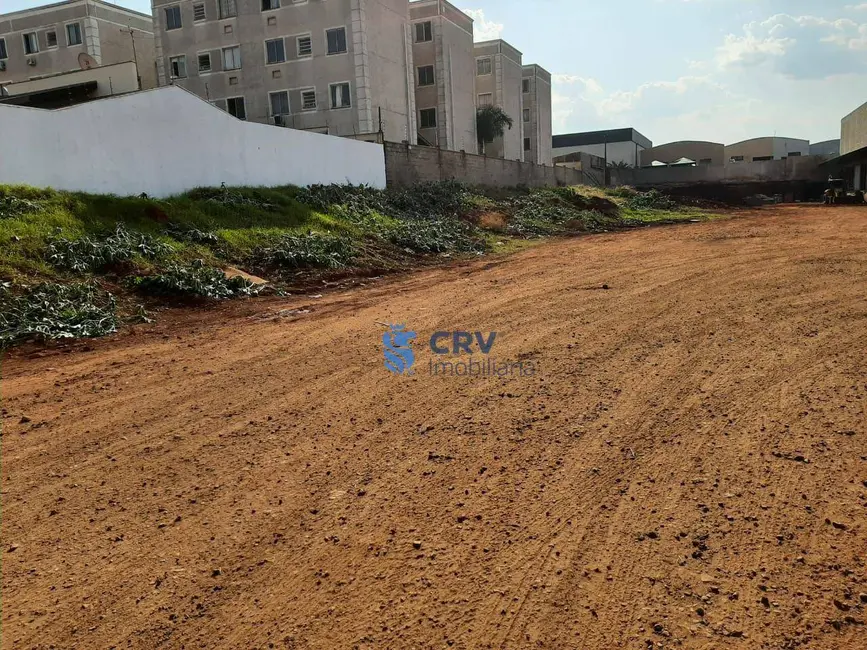 Foto 6 de Armazém / Galpão para alugar, 600m2 em Conjunto Habitacional Jamile Dequech, Londrina - PR