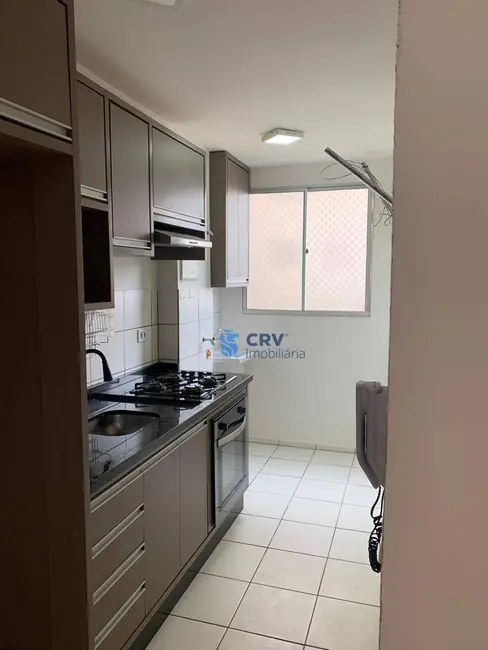 Apartamento com 2 quartos à venda, 70m2 em Gleba Fazenda Palhano, Londrina - PR - imagem 4 Foto 4 de Apartamento com 2 quartos à venda, 70m2 em Gleba Fazenda Palhano, Londrina - PR