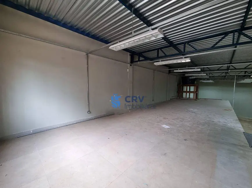 Foto 7 de Armazém / Galpão para alugar, 500m2 em Jardim Agari, Londrina - PR