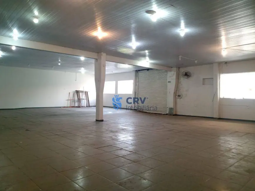 Foto 7 de Armazém / Galpão para alugar, 600m2 em Centro, Londrina - PR