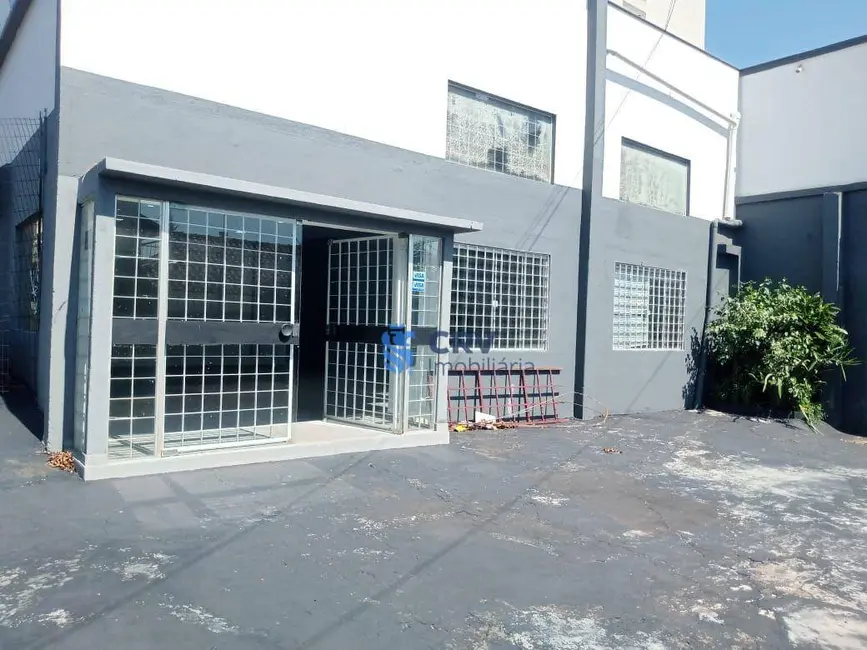 Foto 2 de Armazém / Galpão para alugar, 600m2 em Centro, Londrina - PR