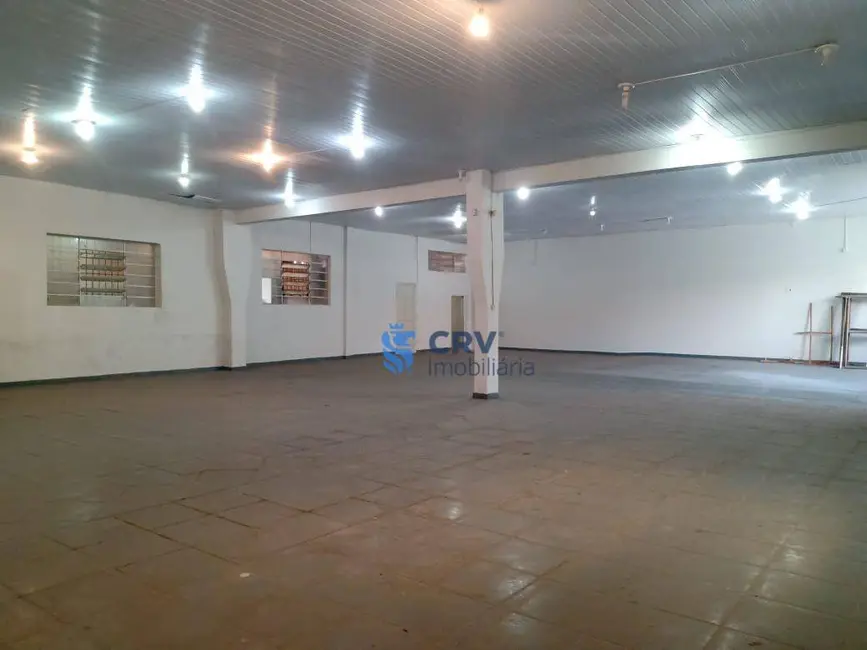 Foto 6 de Armazém / Galpão para alugar, 600m2 em Centro, Londrina - PR