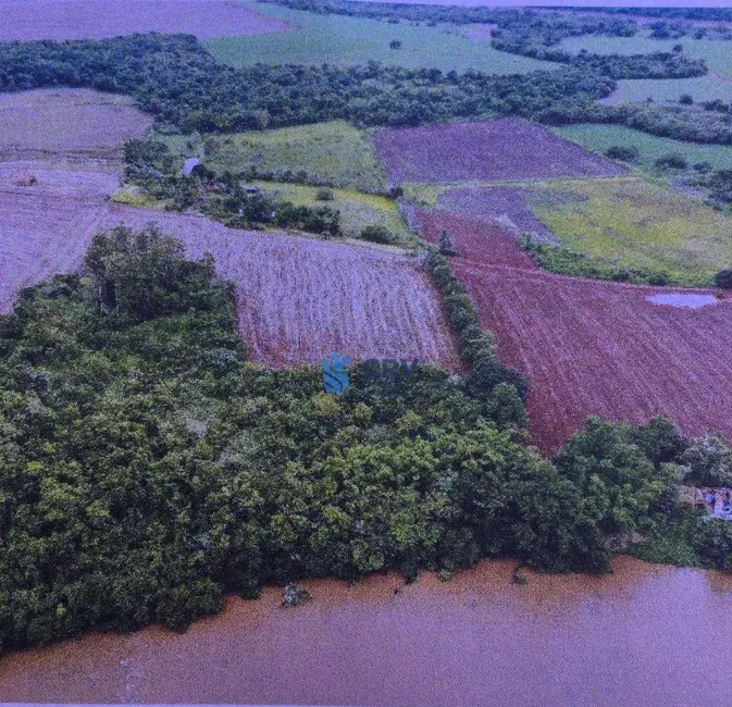 Foto 1 de Terreno / Lote à venda, 24300m2 em Novo Aeroporto, Londrina - PR