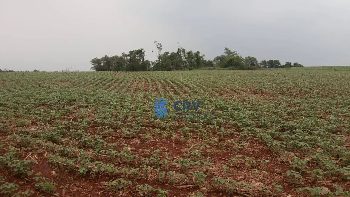 Foto 5 de Terreno / Lote à venda, 24300m2 em Novo Aeroporto, Londrina - PR