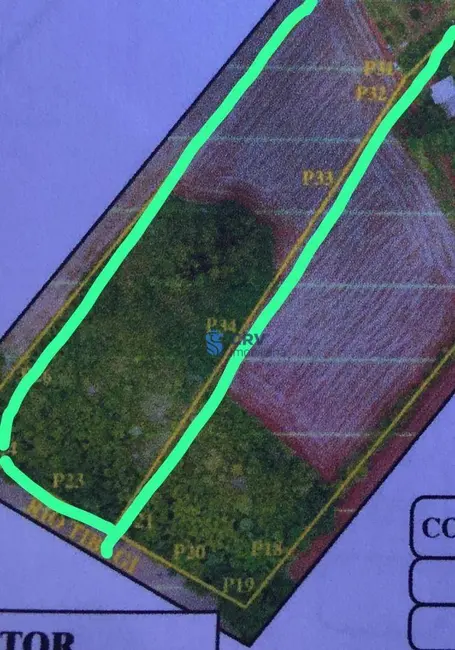 Foto 3 de Terreno / Lote à venda, 24300m2 em Novo Aeroporto, Londrina - PR