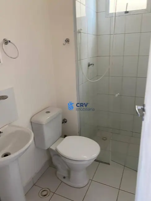 Apartamento com 2 quartos à venda e para alugar, 49m2 em Londrina - PR - imagem 4 Foto 4 de Apartamento com 2 quartos à venda e para alugar, 49m2 em Londrina - PR