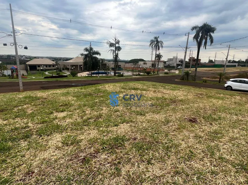 Terreno / Lote à venda, 360m2 em Marumbi, Londrina - PR - imagem 5 Foto 5 de Terreno / Lote à venda, 360m2 em Marumbi, Londrina - PR