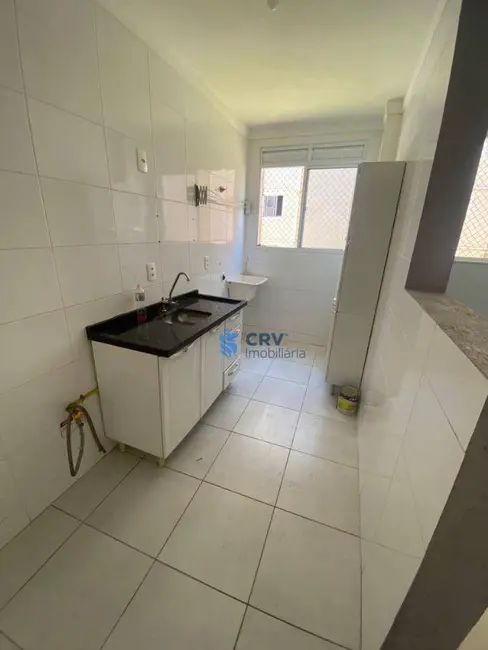 Foto 2 de Apartamento com 2 quartos para alugar, 65m2 em Londrina - PR