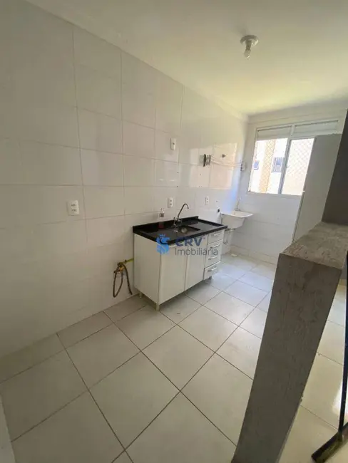 Foto 3 de Apartamento com 2 quartos para alugar, 65m2 em Londrina - PR