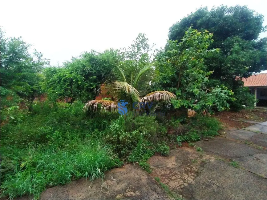 Terreno / Lote à venda, 538m2 em Jardim Vale Verde, Londrina - PR - imagem 9 Foto 9 de Terreno / Lote à venda, 538m2 em Jardim Vale Verde, Londrina - PR