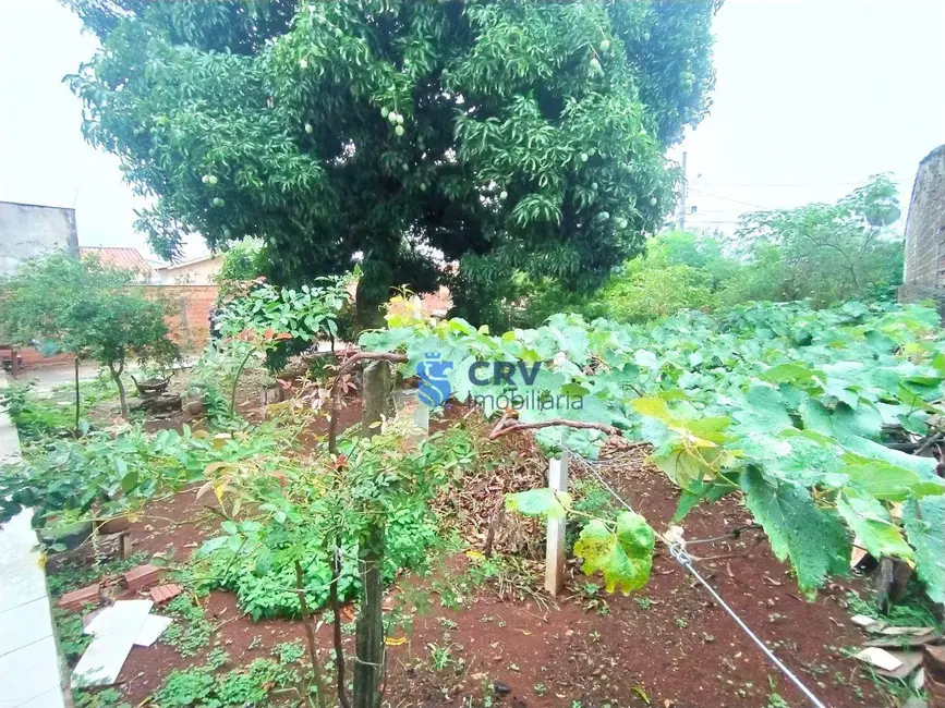 Terreno / Lote à venda, 538m2 em Jardim Vale Verde, Londrina - PR - imagem 3 Foto 3 de Terreno / Lote à venda, 538m2 em Jardim Vale Verde, Londrina - PR