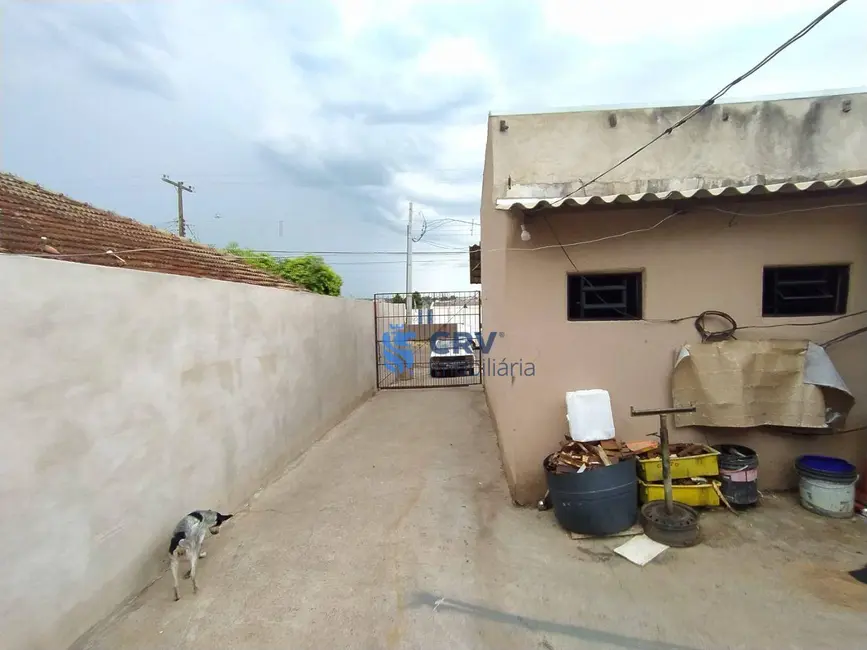 Casa com 3 quartos à venda, 300m2 em Londrina - PR - imagem 5 Foto 5 de Casa com 3 quartos à venda, 300m2 em Londrina - PR