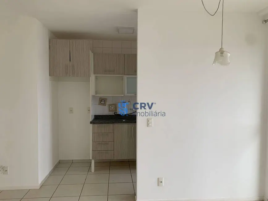 Apartamento com 3 quartos para alugar, 63m2 em Terra Bonita, Londrina - PR - imagem 7 Foto 7 de Apartamento com 3 quartos para alugar, 63m2 em Terra Bonita, Londrina - PR
