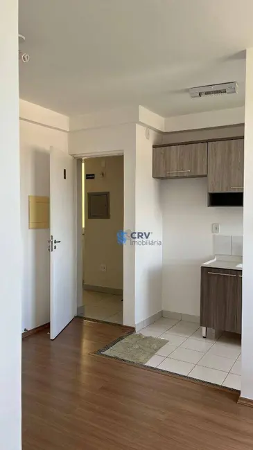 Apartamento com 2 quartos para alugar, 49m2 em Londrina - PR - imagem 1 Foto 1 de Apartamento com 2 quartos para alugar, 49m2 em Londrina - PR
