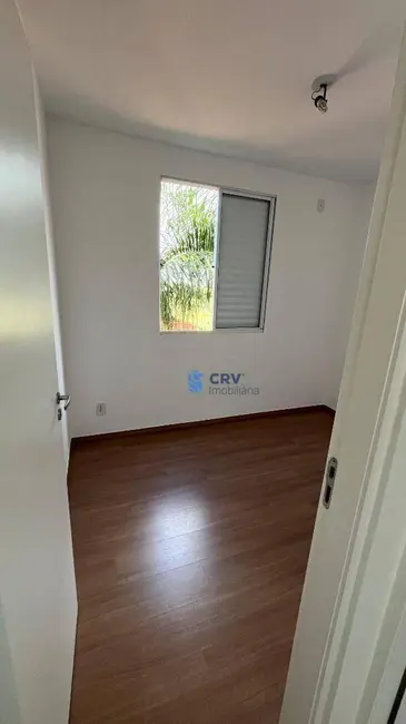 Apartamento com 2 quartos para alugar, 49m2 em Londrina - PR - imagem 7 Foto 7 de Apartamento com 2 quartos para alugar, 49m2 em Londrina - PR