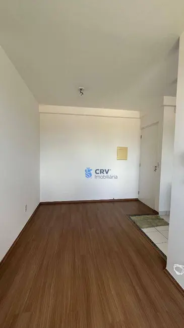 Apartamento com 2 quartos para alugar, 49m2 em Londrina - PR - imagem 5 Foto 5 de Apartamento com 2 quartos para alugar, 49m2 em Londrina - PR