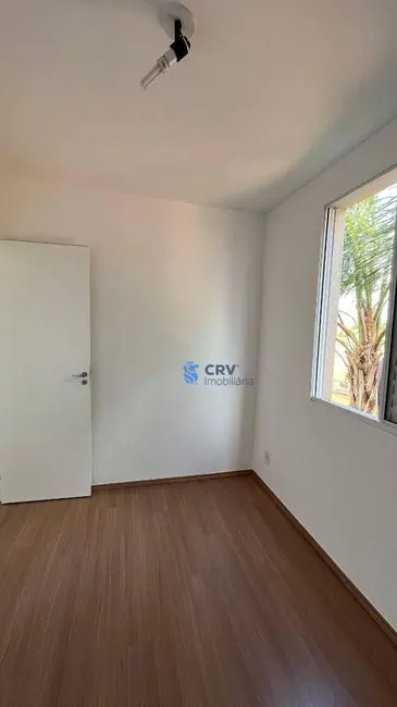 Apartamento com 2 quartos para alugar, 49m2 em Londrina - PR - imagem 8 Foto 8 de Apartamento com 2 quartos para alugar, 49m2 em Londrina - PR