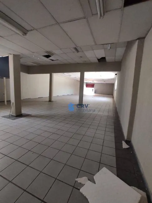 Foto 4 de Armazém / Galpão para alugar, 450m2 em Jardim Palmares, Londrina - PR