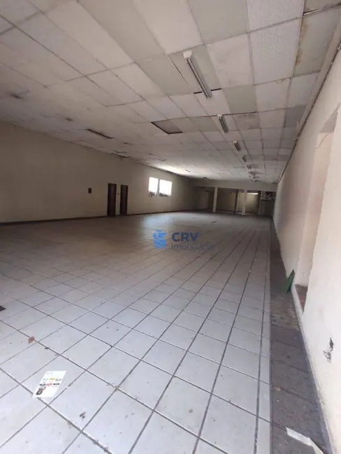 Foto 3 de Armazém / Galpão para alugar, 450m2 em Jardim Palmares, Londrina - PR