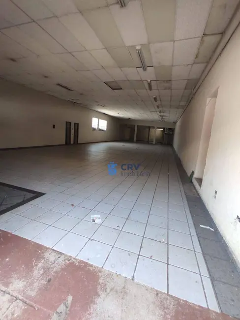 Foto 7 de Armazém / Galpão para alugar, 450m2 em Jardim Palmares, Londrina - PR