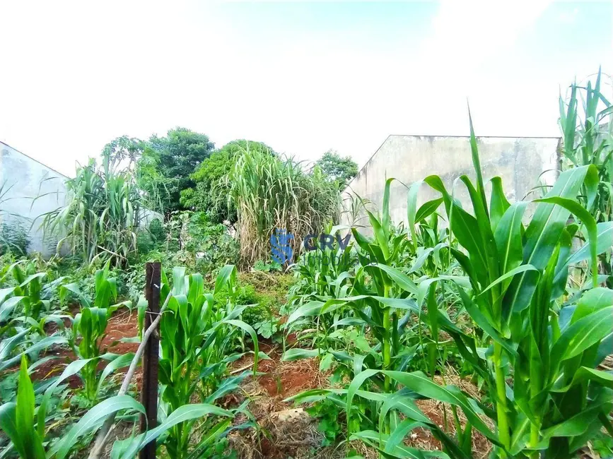 Terreno / Lote à venda, 321m2 em Jardim Neman Sahyun, Londrina - PR - imagem 5 Foto 5 de Terreno / Lote à venda, 321m2 em Jardim Neman Sahyun, Londrina - PR