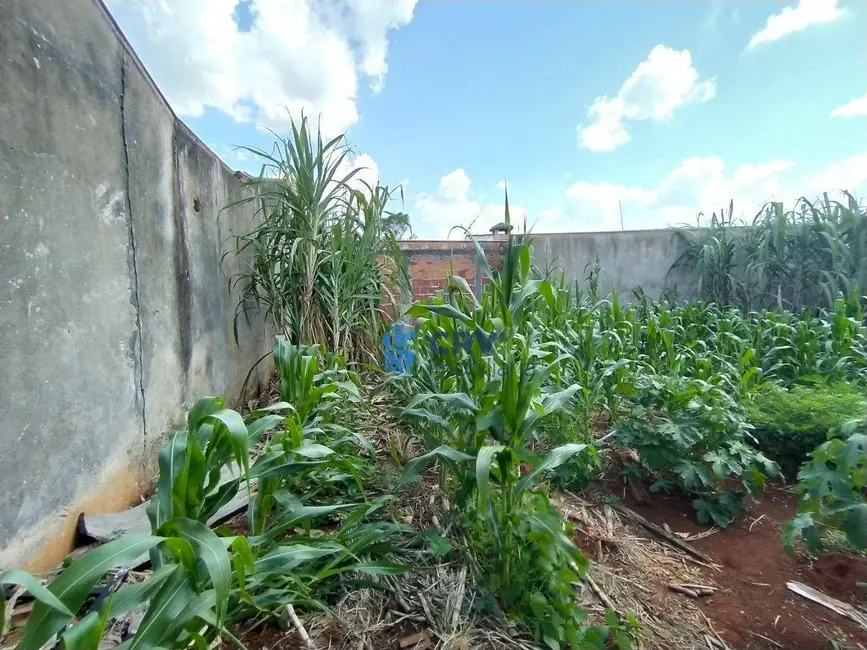 Terreno / Lote à venda, 321m2 em Jardim Neman Sahyun, Londrina - PR - imagem 8 Foto 8 de Terreno / Lote à venda, 321m2 em Jardim Neman Sahyun, Londrina - PR