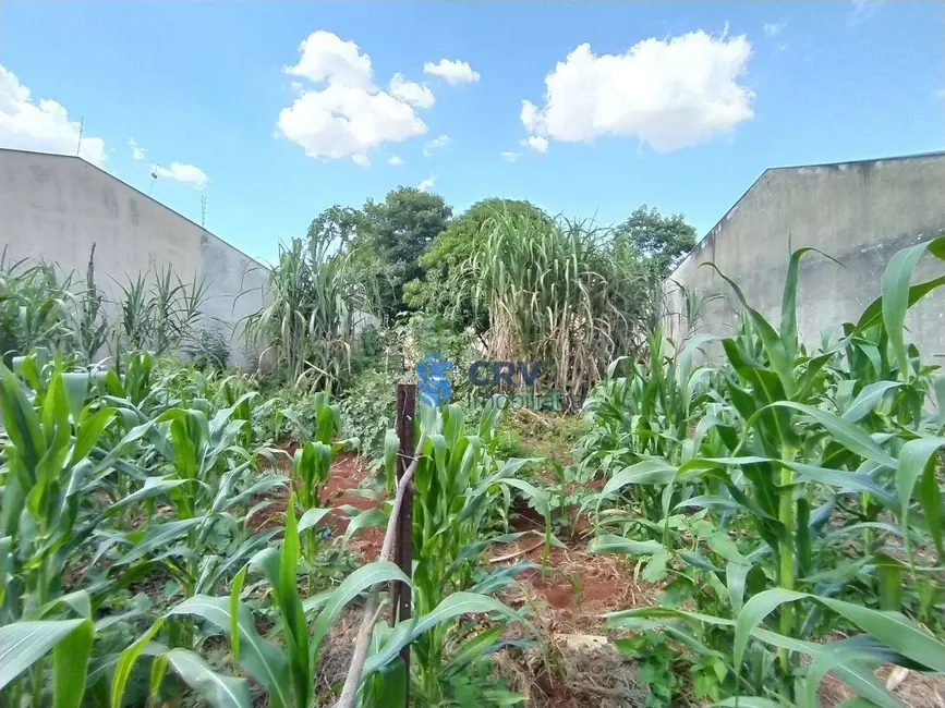 Terreno / Lote à venda, 321m2 em Jardim Neman Sahyun, Londrina - PR - imagem 6 Foto 6 de Terreno / Lote à venda, 321m2 em Jardim Neman Sahyun, Londrina - PR