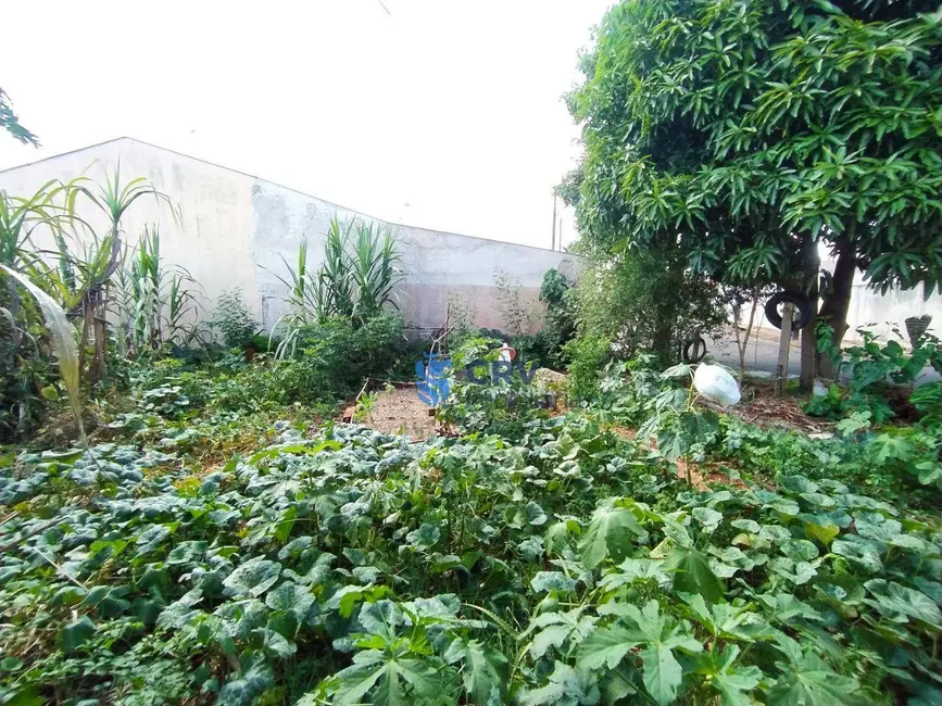 Terreno / Lote à venda, 321m2 em Jardim Neman Sahyun, Londrina - PR - imagem 4 Foto 4 de Terreno / Lote à venda, 321m2 em Jardim Neman Sahyun, Londrina - PR