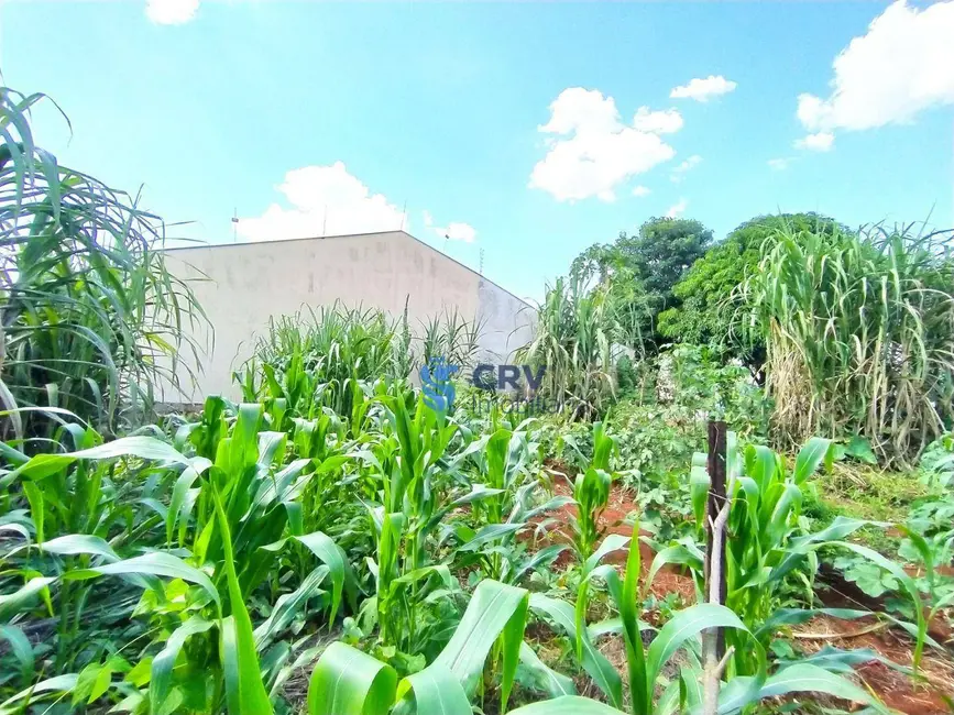 Terreno / Lote à venda, 321m2 em Jardim Neman Sahyun, Londrina - PR - imagem 7 Foto 7 de Terreno / Lote à venda, 321m2 em Jardim Neman Sahyun, Londrina - PR