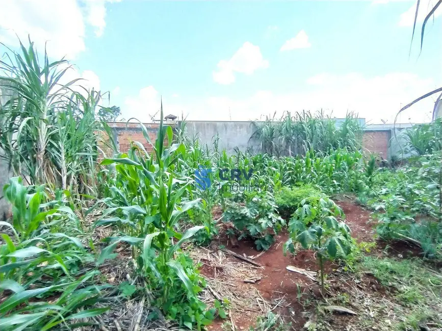 Terreno / Lote à venda, 321m2 em Jardim Neman Sahyun, Londrina - PR - imagem 9 Foto 9 de Terreno / Lote à venda, 321m2 em Jardim Neman Sahyun, Londrina - PR