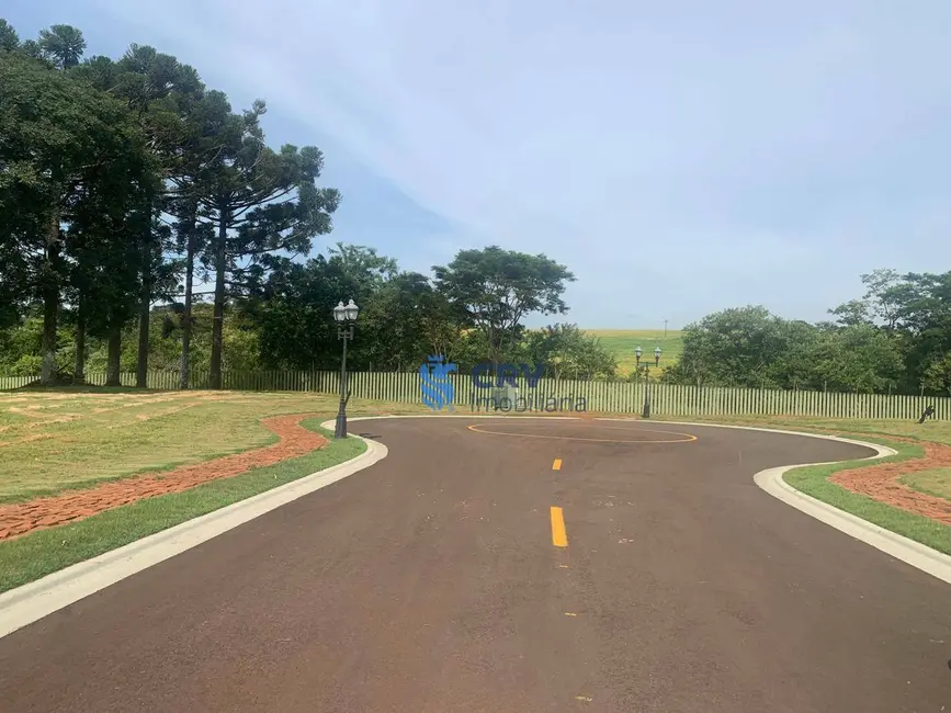 Terreno / Lote à venda, 1402m2 em Vivendas do Arvoredo, Londrina - PR - imagem 5 Foto 5 de Terreno / Lote à venda, 1402m2 em Vivendas do Arvoredo, Londrina - PR