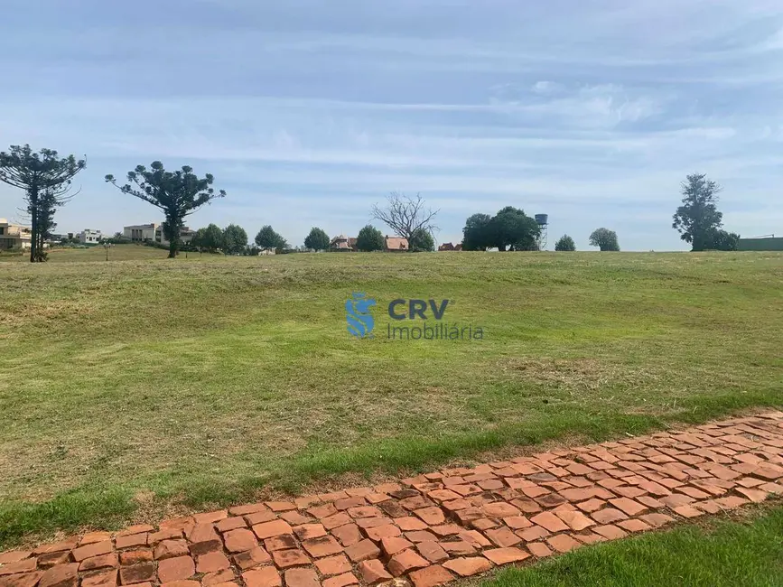 Terreno / Lote à venda, 1402m2 em Vivendas do Arvoredo, Londrina - PR - imagem 1 Foto 1 de Terreno / Lote à venda, 1402m2 em Vivendas do Arvoredo, Londrina - PR
